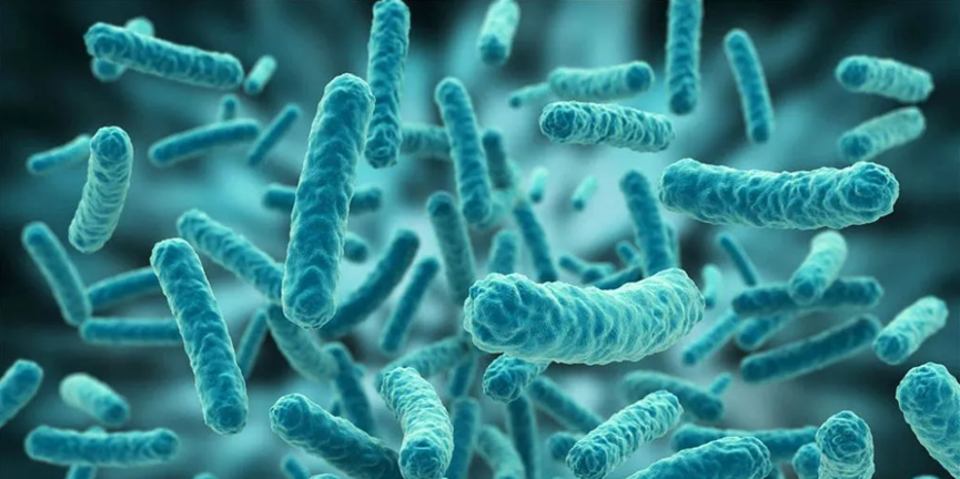 生物制药洁净密码：内毒素检测与控制策略全解析